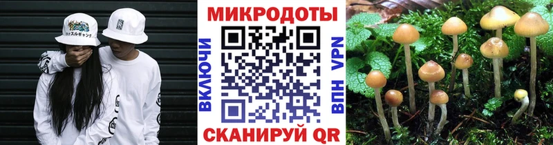 Псилоцибиновые грибы мухоморы сколько стоит Корсаков